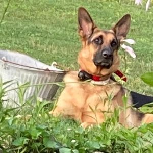 Meet your Posher, Deborah